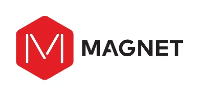 Magnet