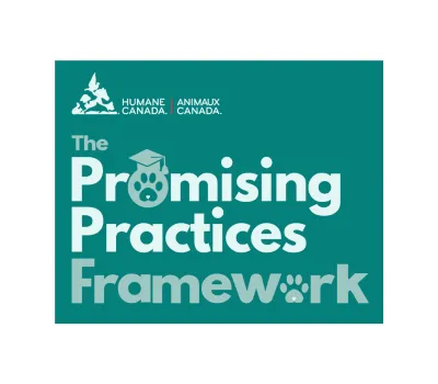 Promising Practices