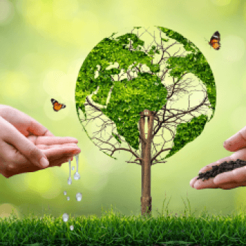 Local and Global Integration