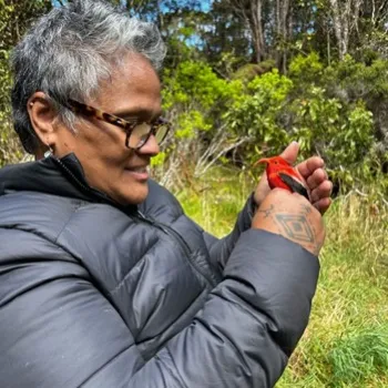 Kekuhi Kealiʻikanakaʻoleohaililani picture