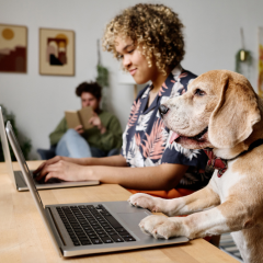 Communications, PR and Fund Development