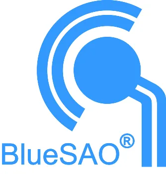 Bluesao Canada inc #943
