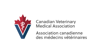 CVMA #120