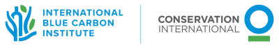 International Blue Carbon Institute - Conservation International