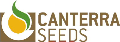 Canterra Seeds