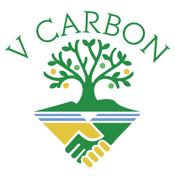 V Carbon ESG Limited