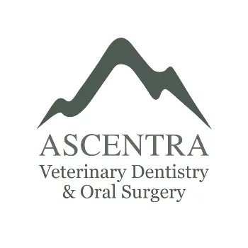 Ascentra Veterinary Dentistry & Oral Surgery and Transcend Veterinary Continuing Education #652
